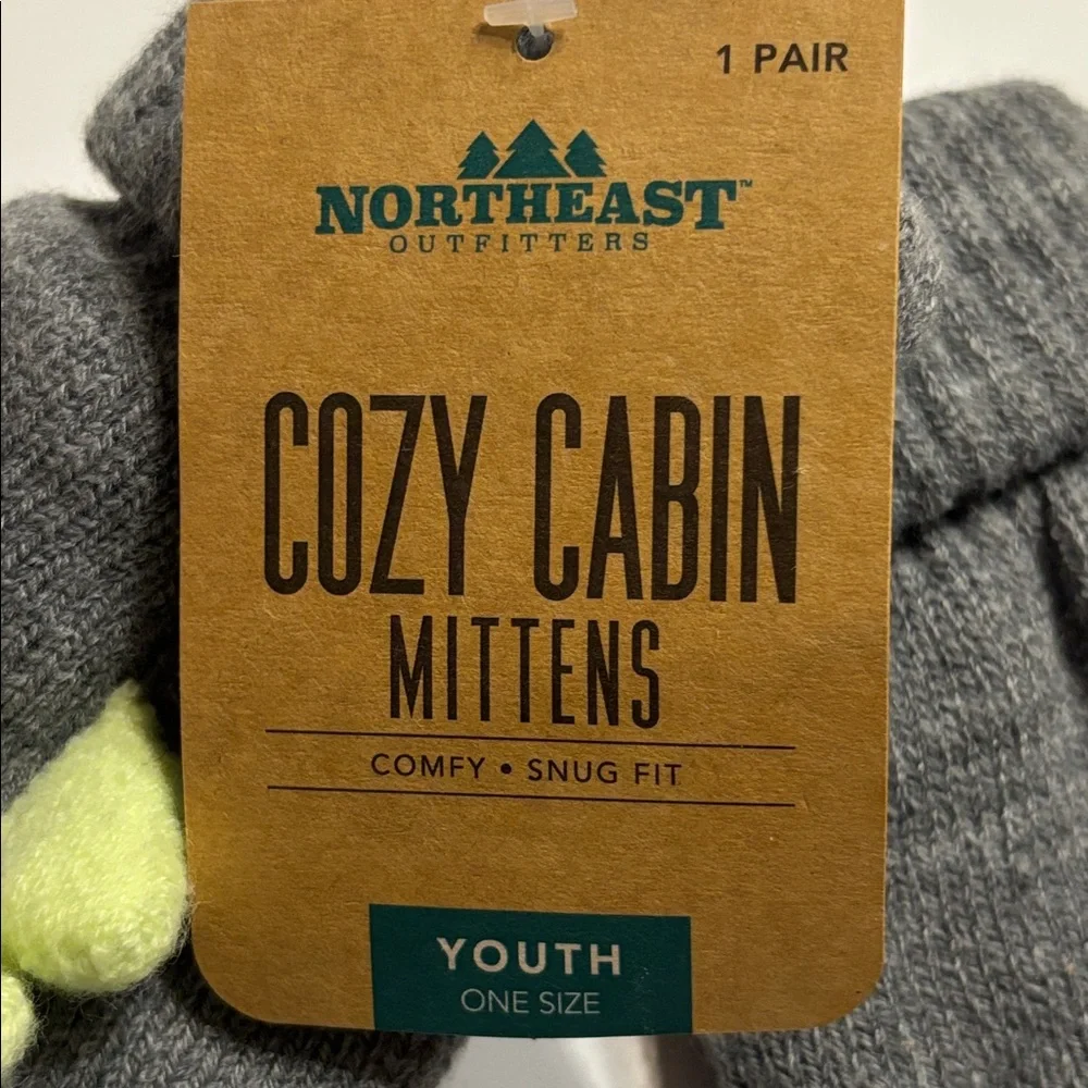 Northeast Outfitters Cozy Cabin Youth Dino Mittens in Gray